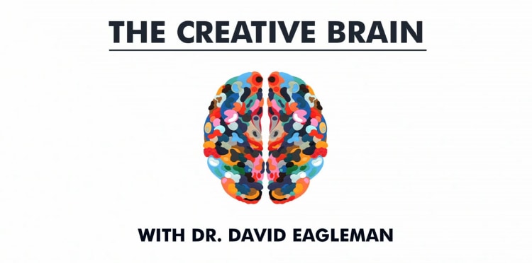 Documentary cover - The Creative Brain