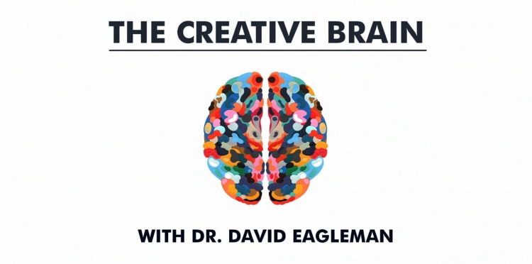 The Creative Brain